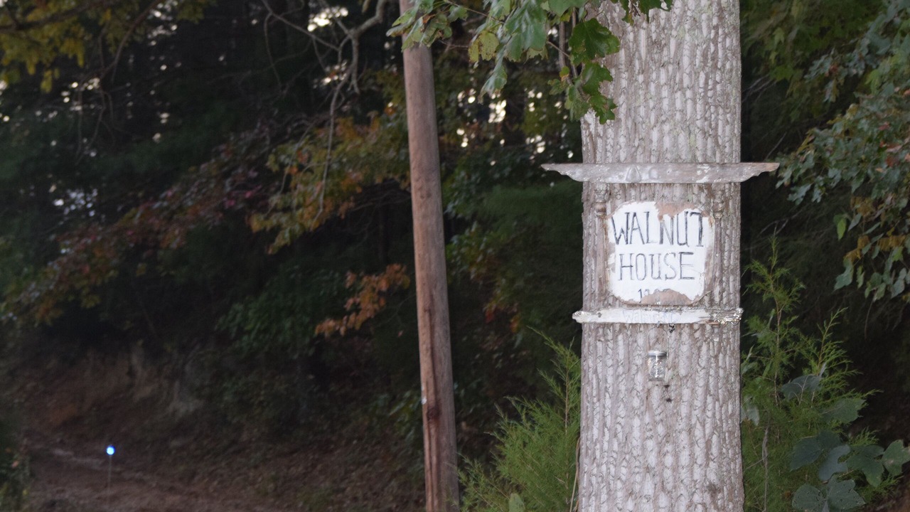 Photo of Outdoor in Marshall