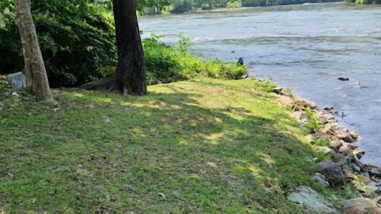 Photo of Others in Marshall