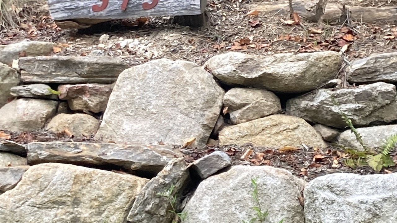 Photo of Others in Bakersville