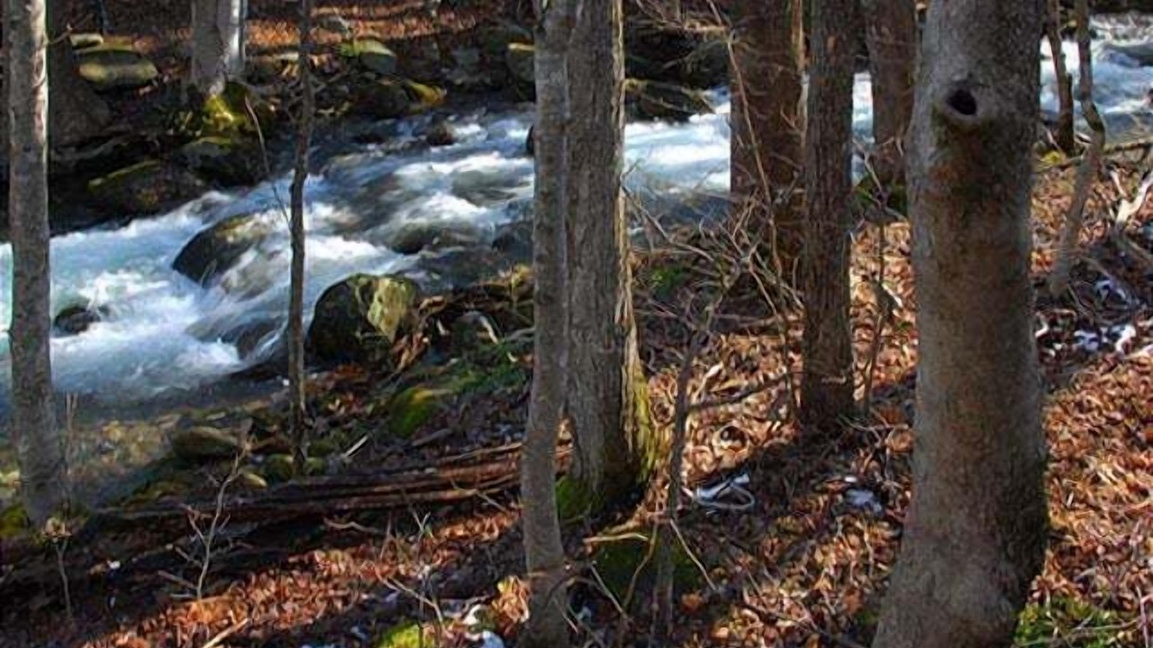 Photo of Outdoor in Rocky Grove