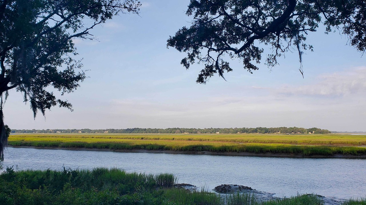 Photo of Others in Beaufort