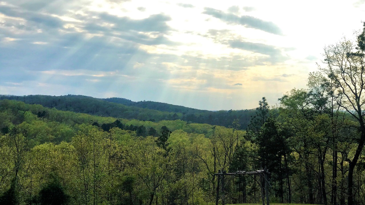 Photo of Others in Pine Mountain