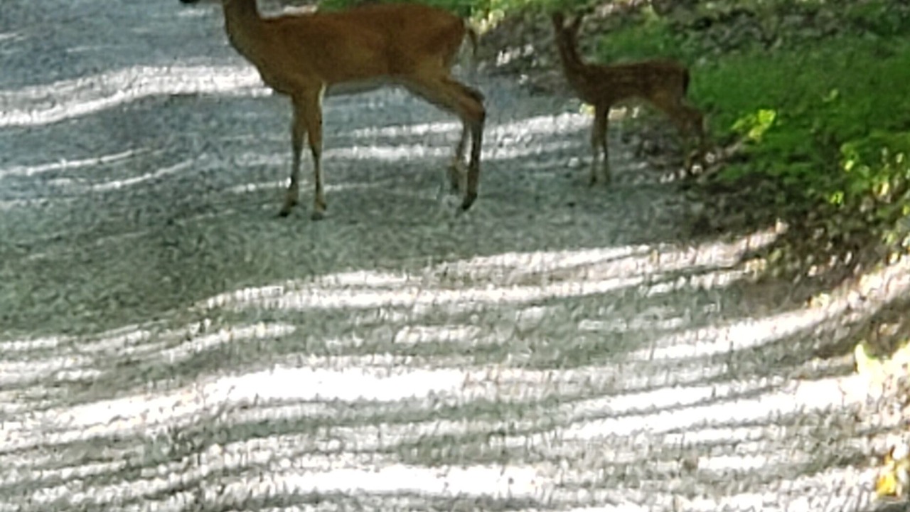 Photo of Outdoor in Newport