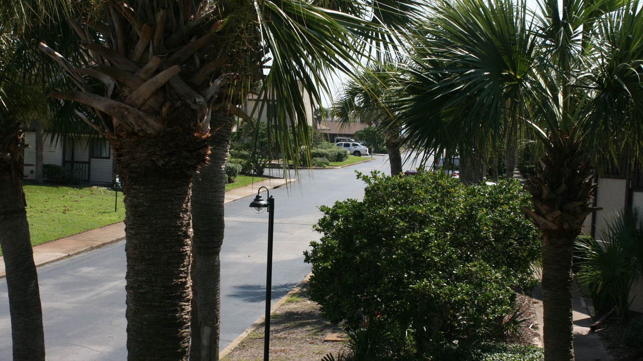 Photo of Outdoor in West Panama City Beach