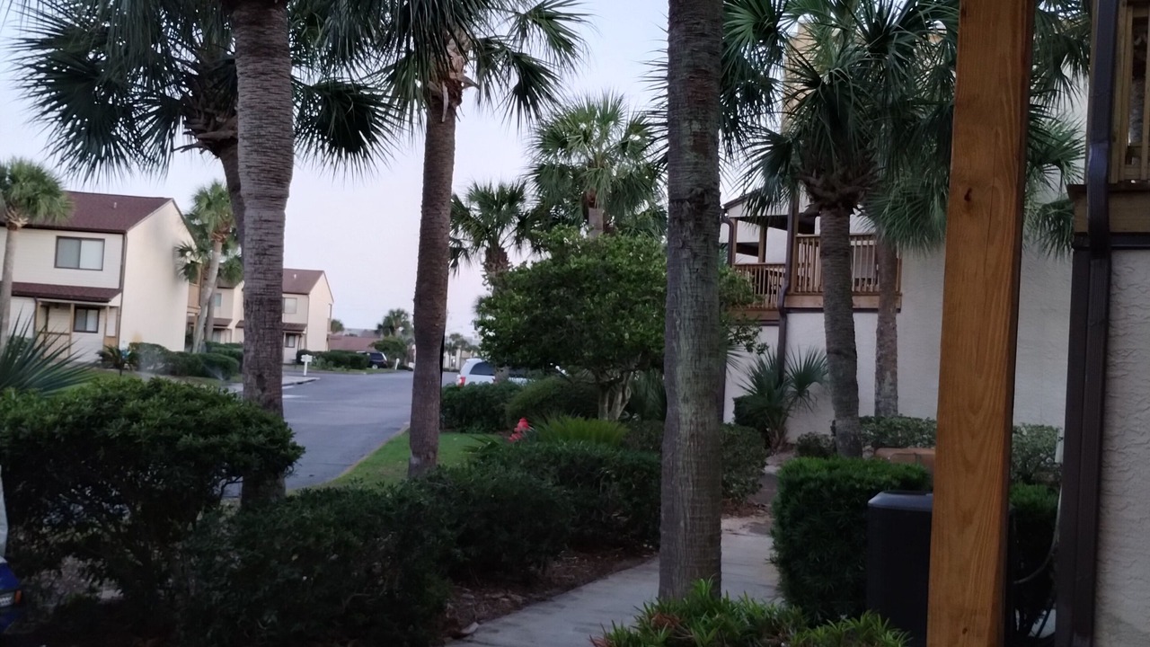 Photo of Outdoor in West Panama City Beach