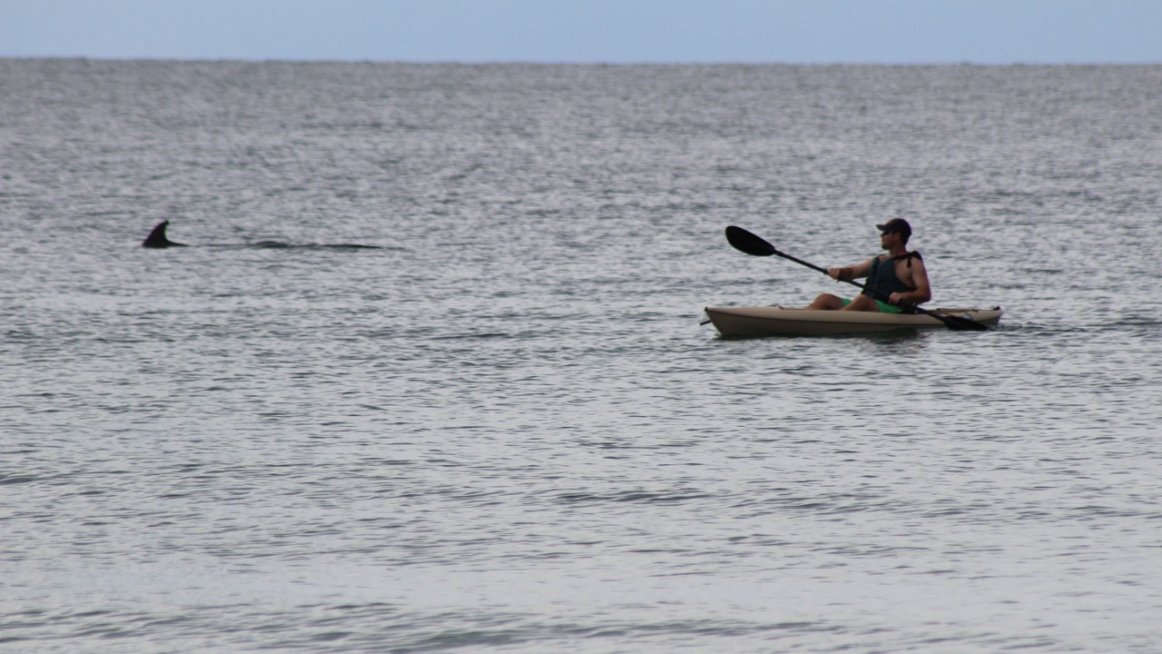 Photo of Others in West Panama City Beach