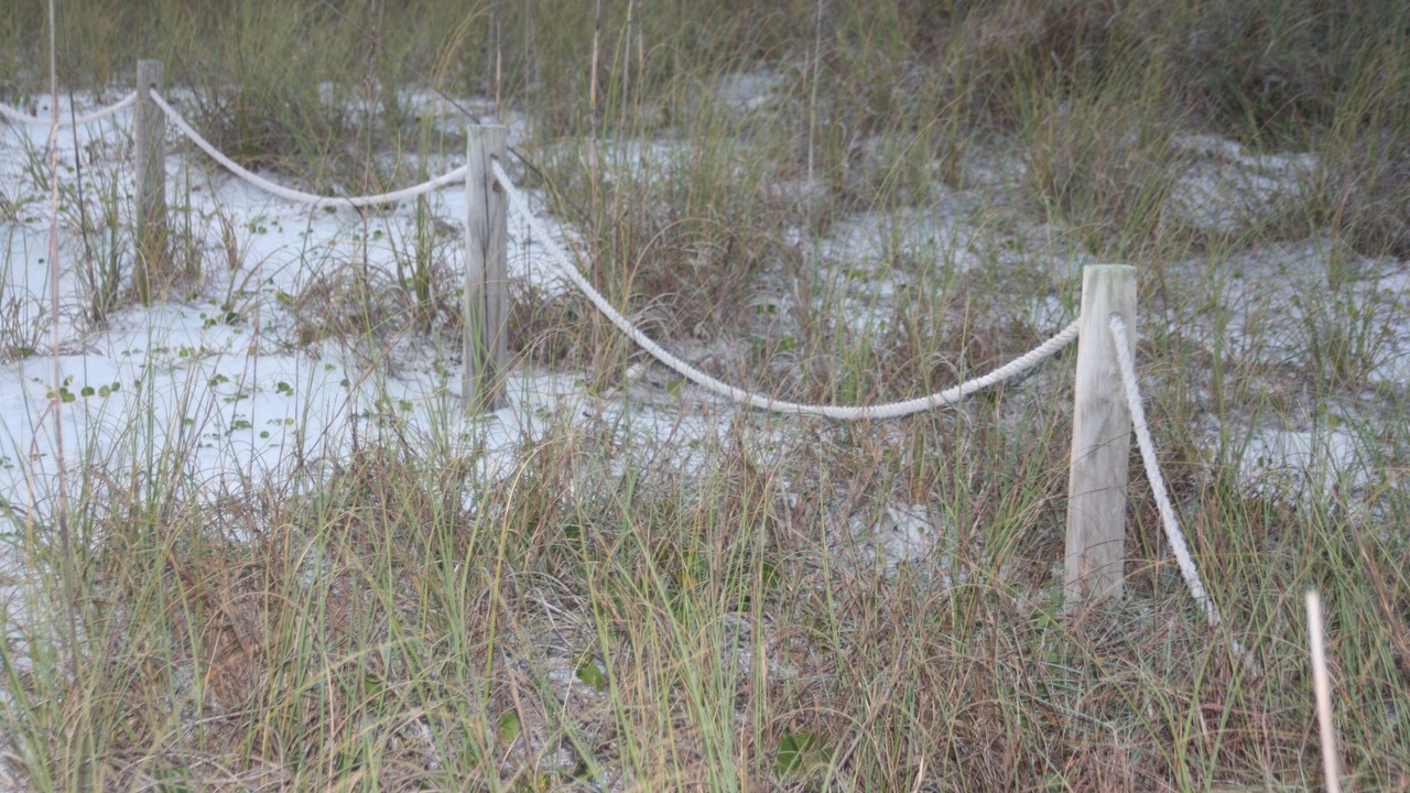Photo of Outdoor in West Panama City Beach