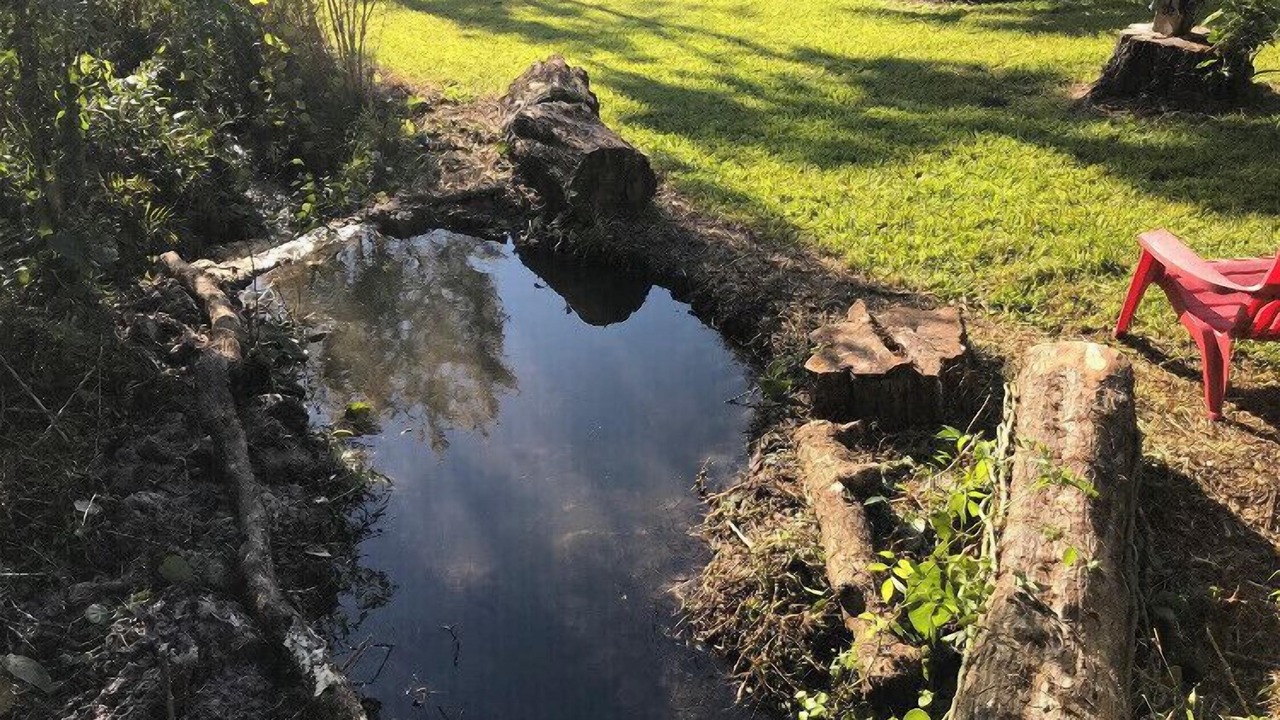 Photo of Outdoor in Mount Dora