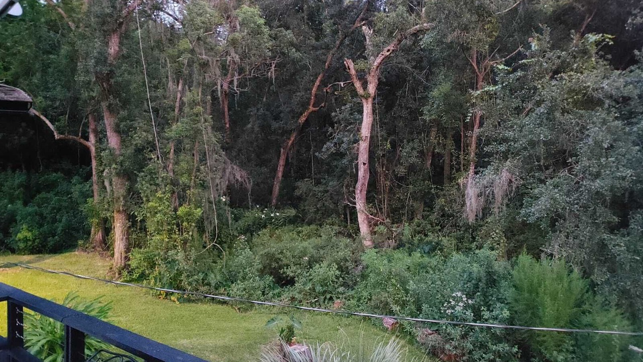 Photo of Outdoor in Mount Dora