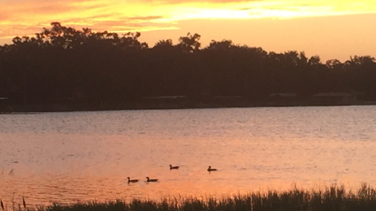 Photo of Others in Mount Dora