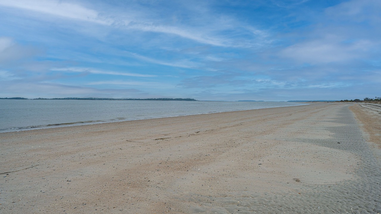 Photo of Others in Edisto Island