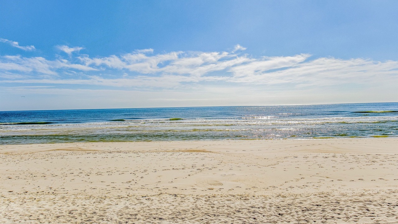 Photo of Others in Orange Beach East