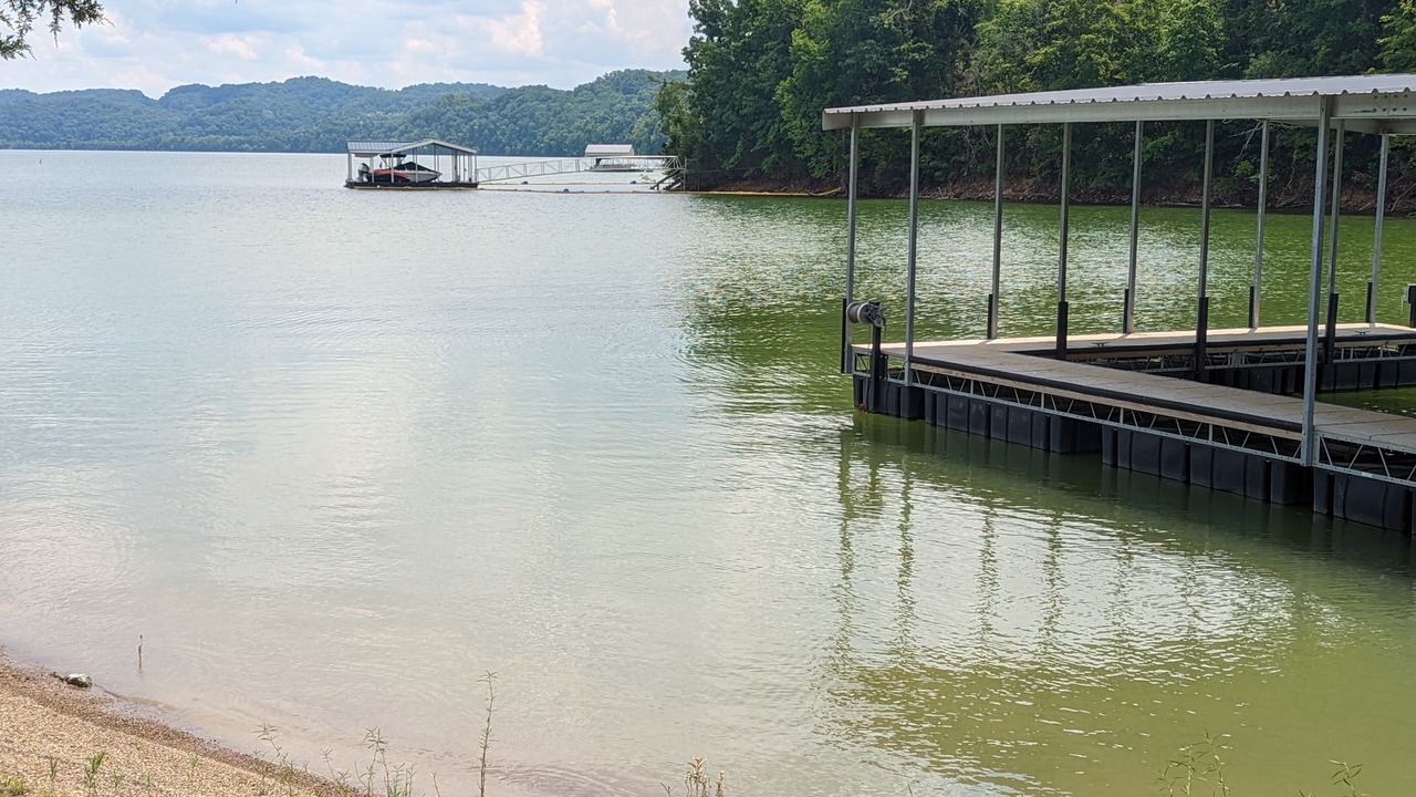 Photo of Others in Dandridge