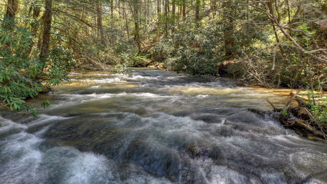 Photo of Outdoor in Ellijay