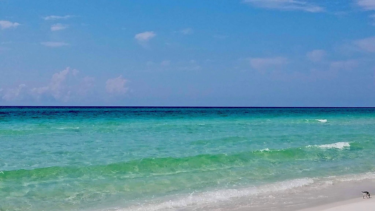 Photo of Others in West Panama City Beach