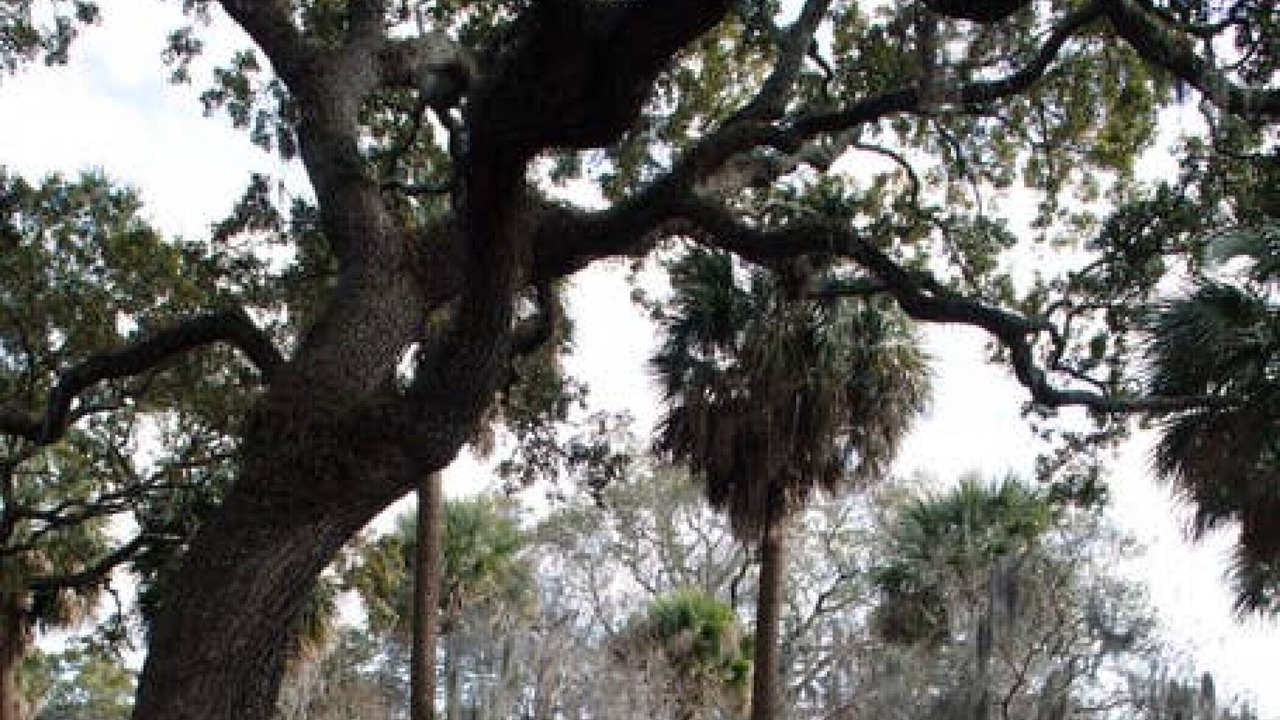 Photo of Others in Historic District - North