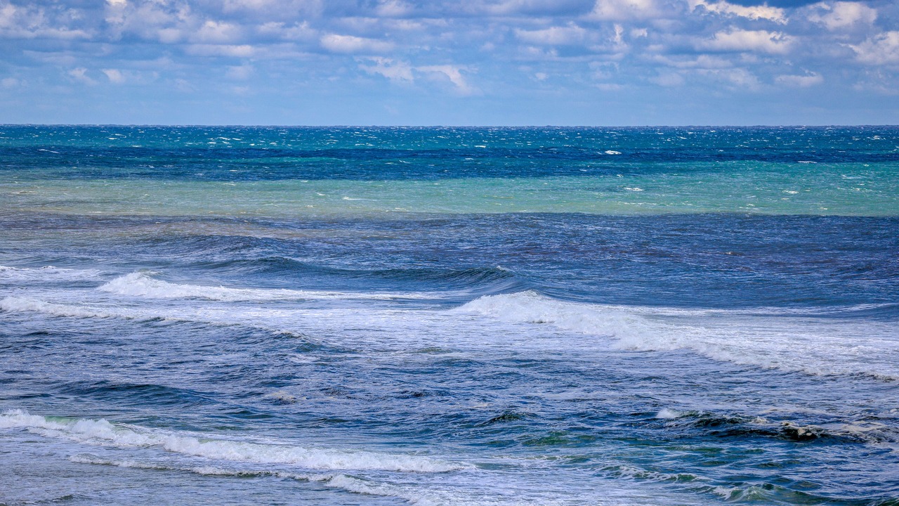 Photo of Others in Fort Bay