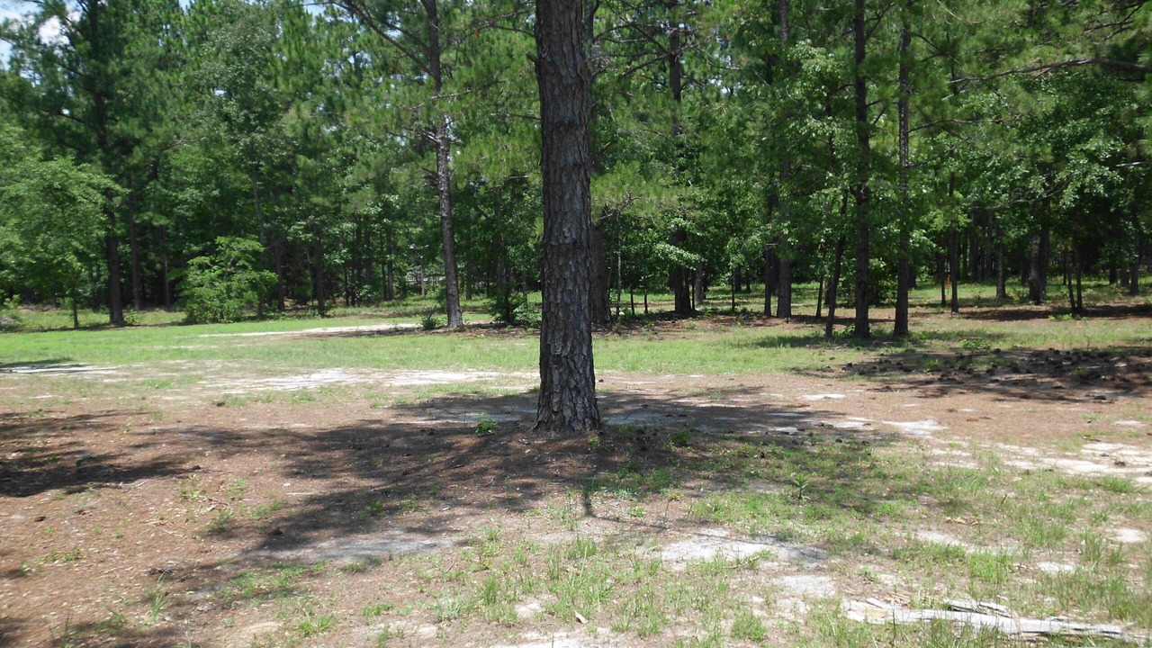Photo of Outdoor in Windsor