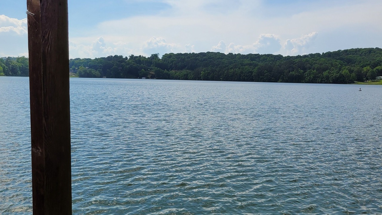 Photo of Others in Guntersville