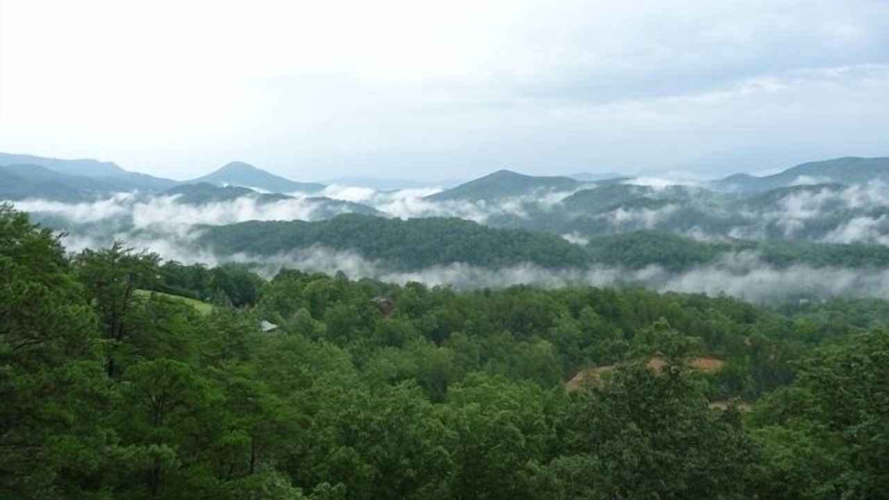 Photo of Others in Sevierville