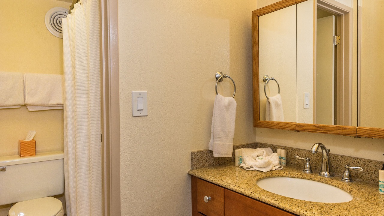 Photo of Bathroom in Kahana