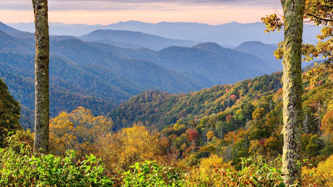 Photo of Others in Sevierville