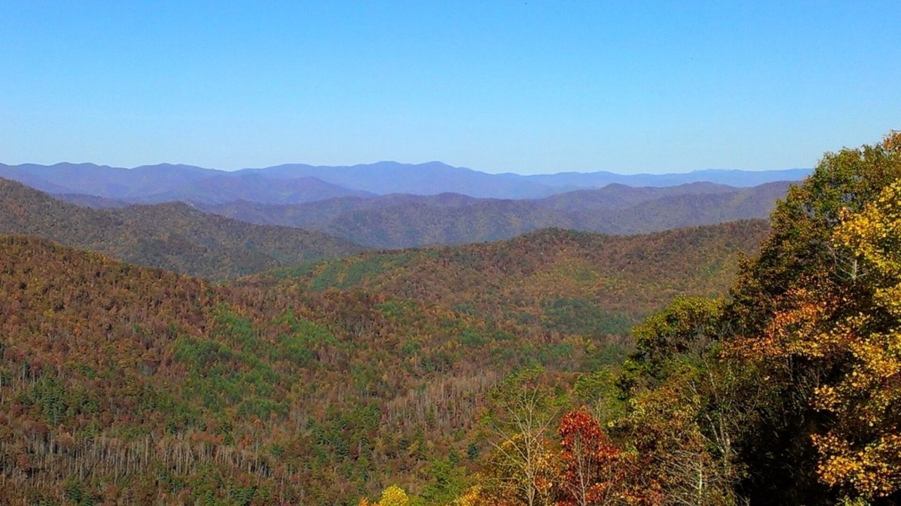 Photo of Others in Sevierville