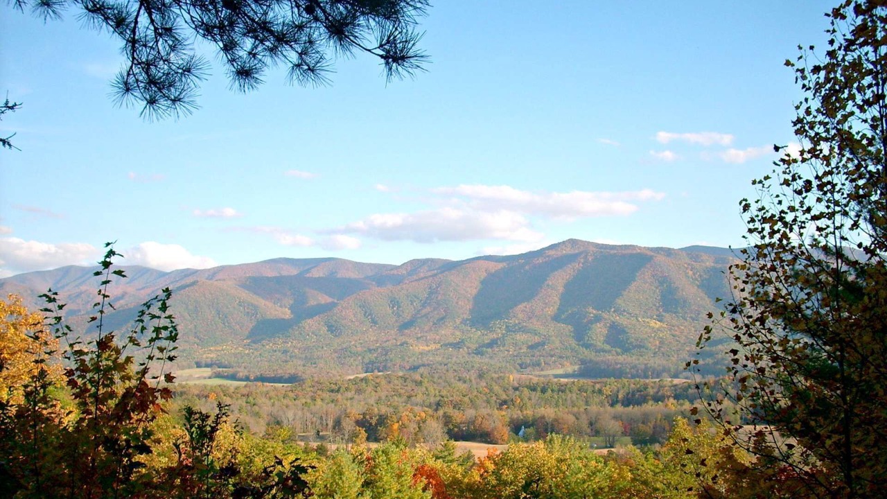 Photo of Others in Sevierville
