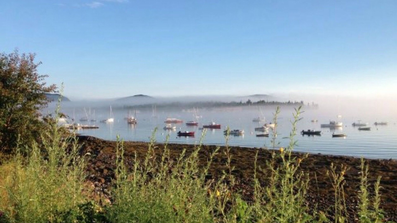 Photo of Others in Southwest Harbor