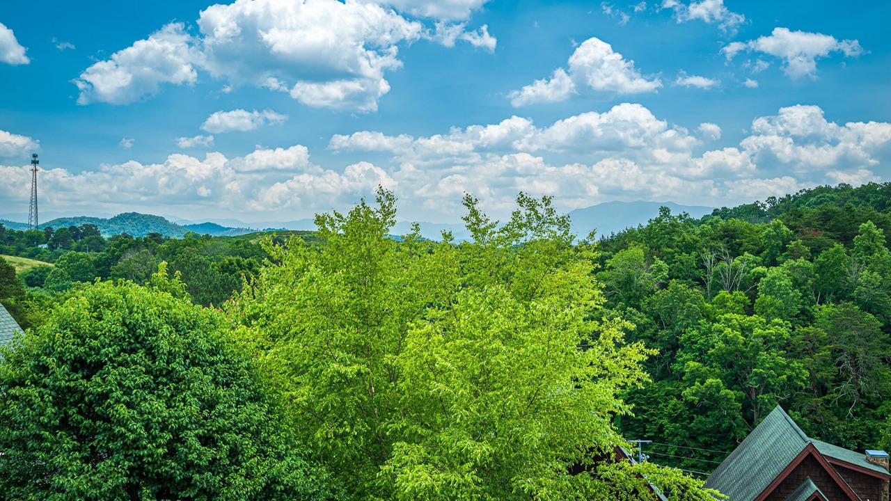 Photo of Others in Sevierville