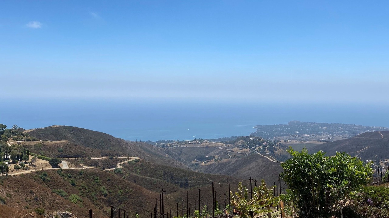 Photo of Others in Malibu