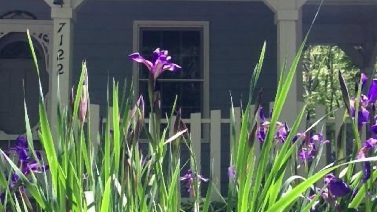 Photo of Outdoor in Trenton