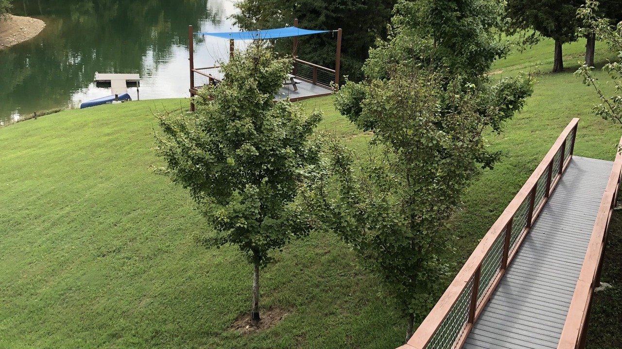 Photo of Outdoor in Dandridge