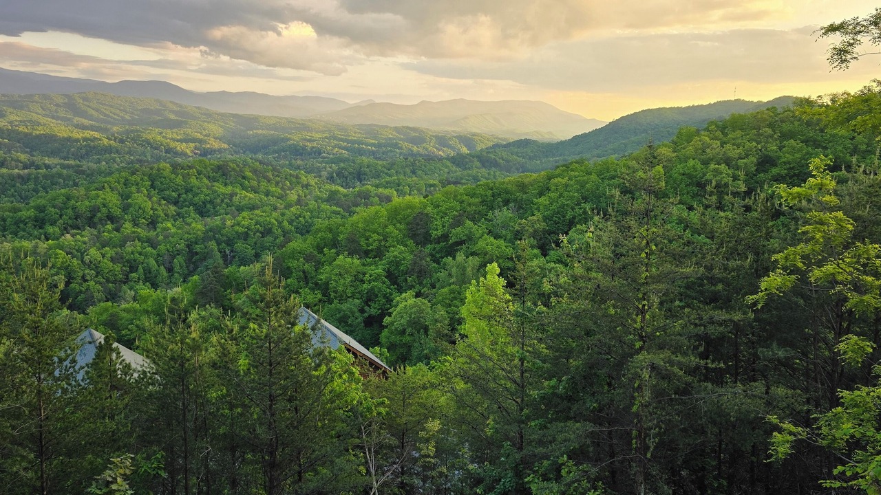 Photo of Others in Sevierville