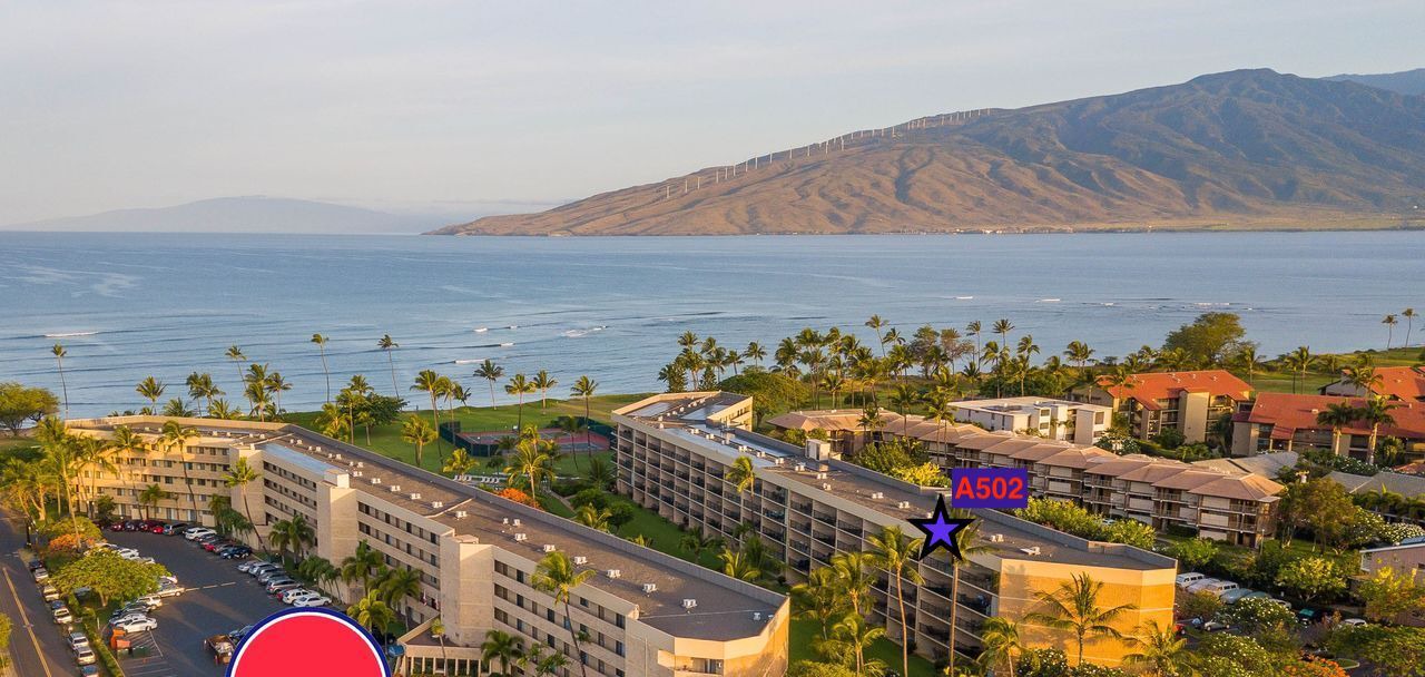 Photo of Others in Kihei