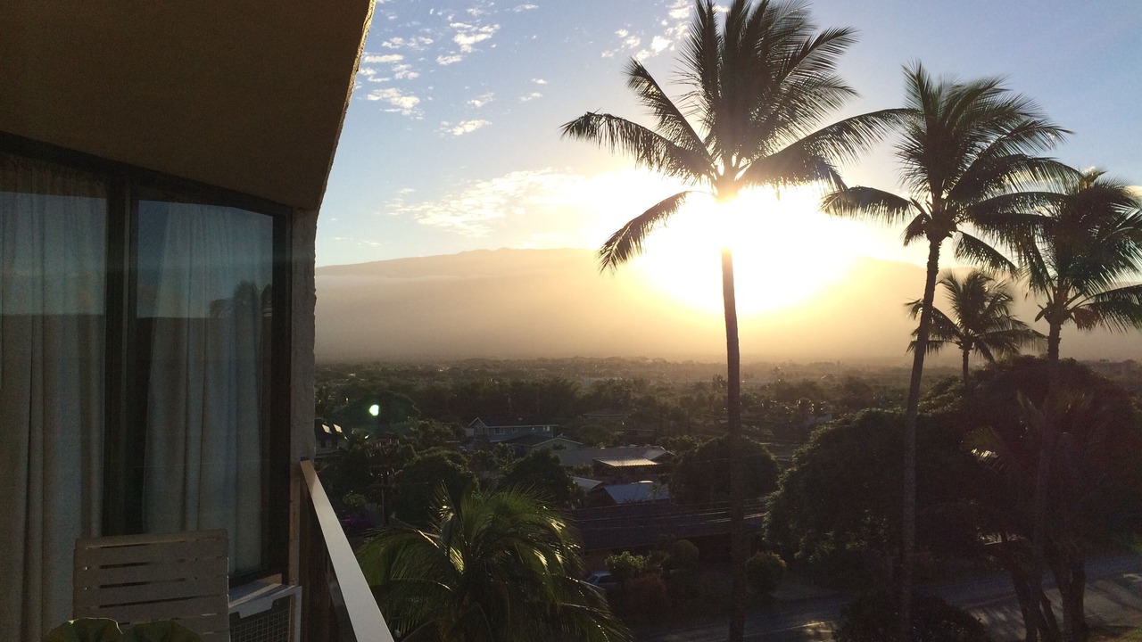 Photo of Others in Kihei