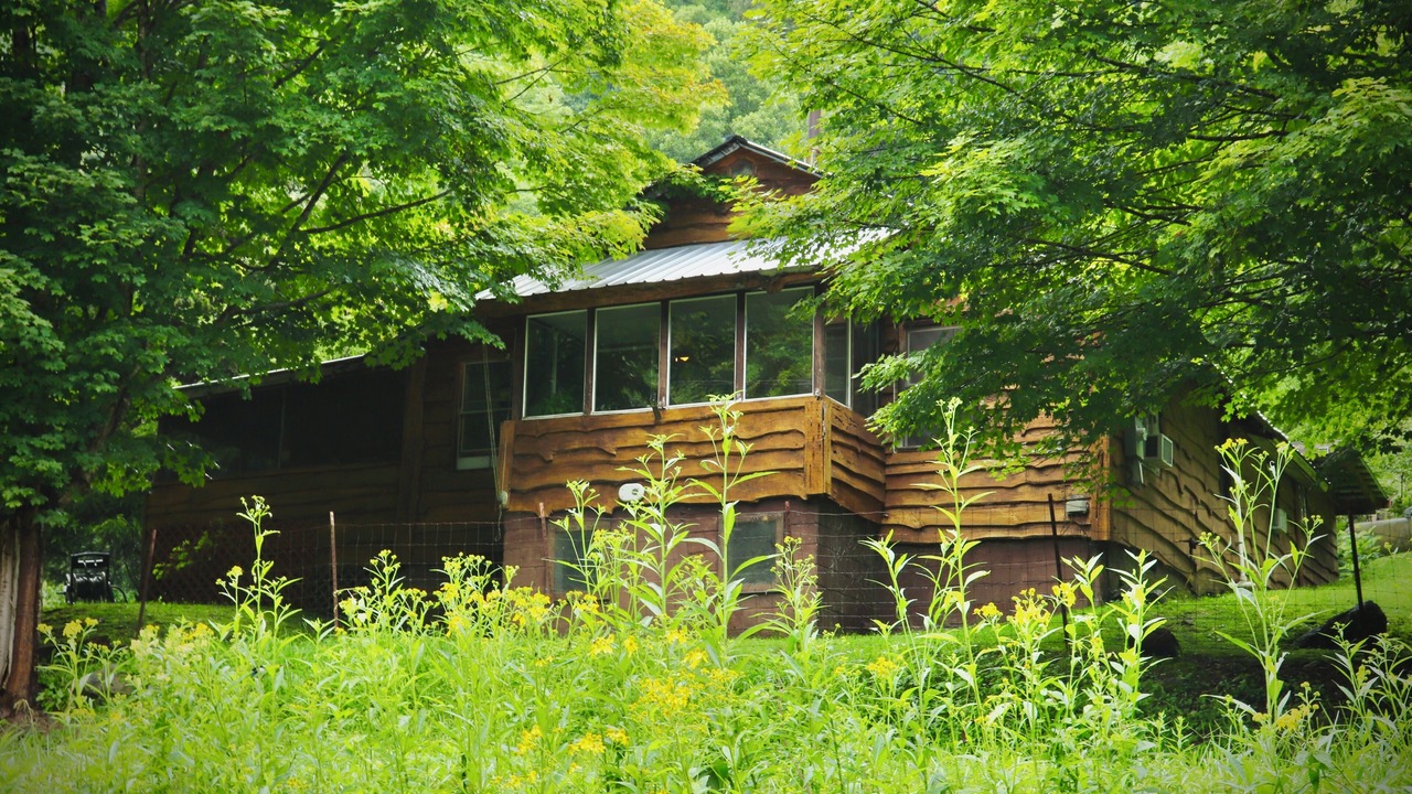 Photo of Outdoor in Hot Springs