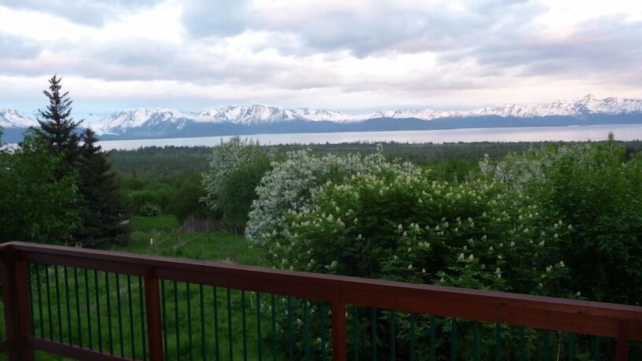 Photo of Others in Homer