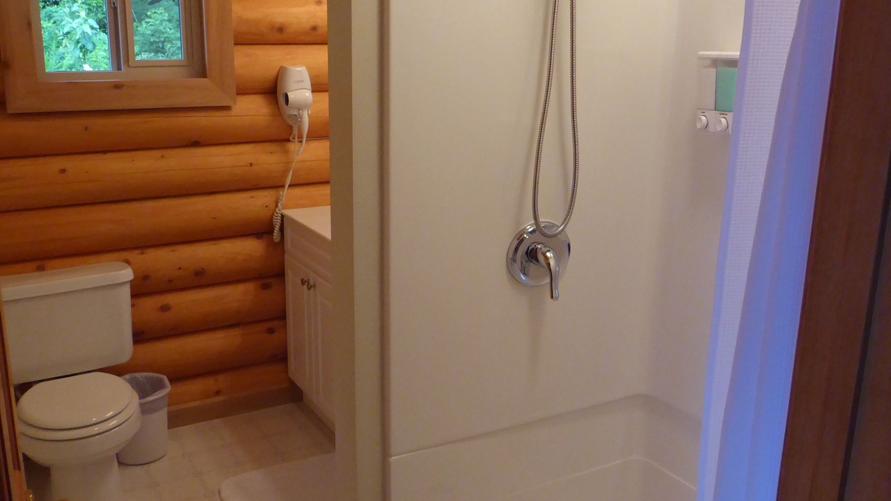 Photo of Bathroom in Homer
