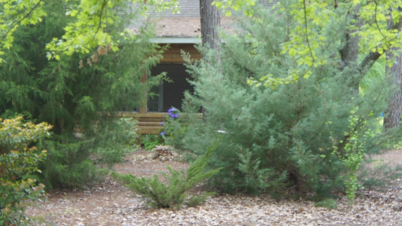 Photo of Outdoor in Tifton