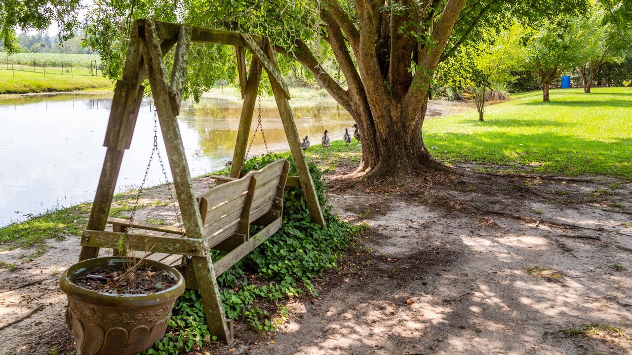 Photo of Outdoor in Tifton