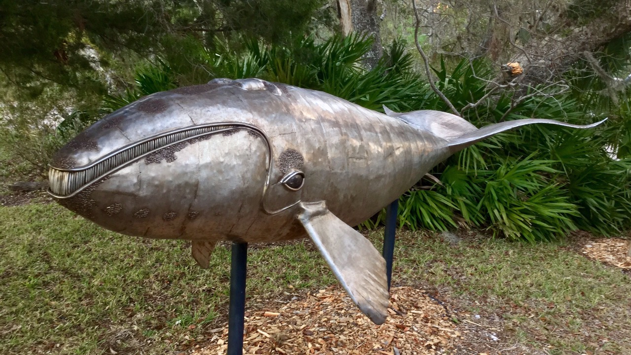 Photo of Others in Jekyll Island