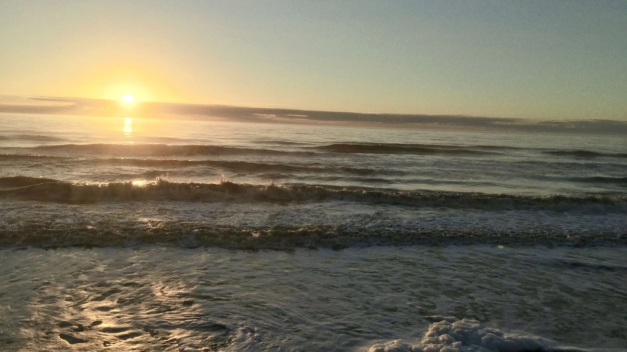 Photo of Others in Jekyll Island