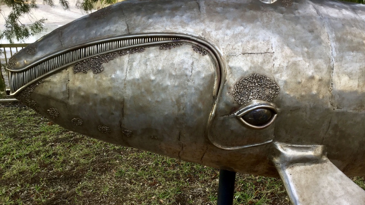 Photo of Outdoor in Jekyll Island