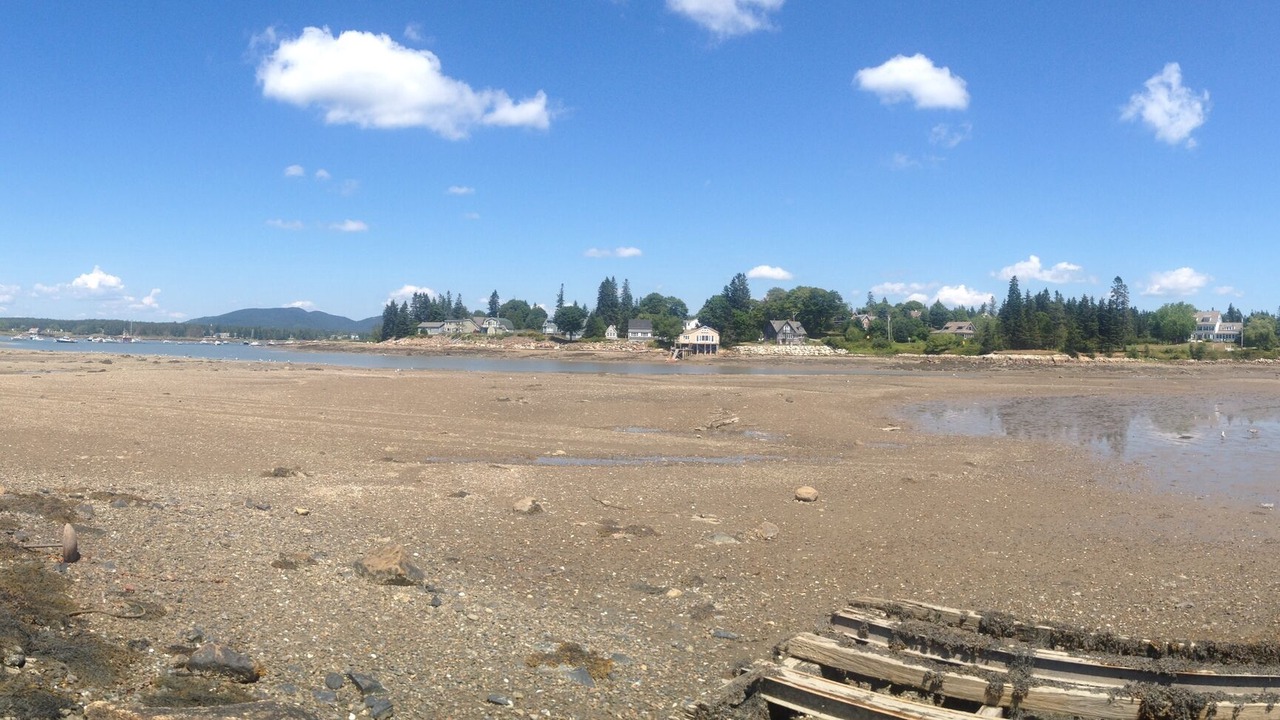 Photo of Others in Bass Harbor