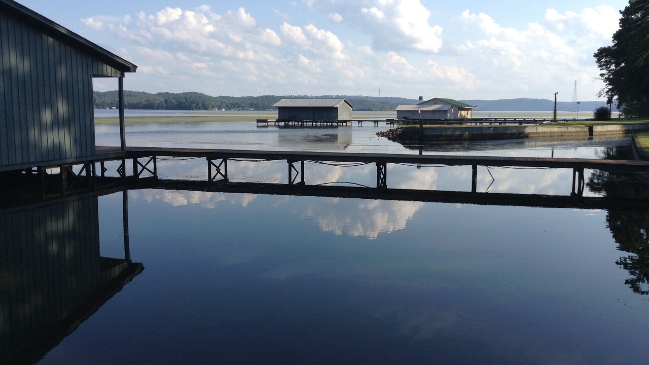 Photo of Outdoor in Guntersville