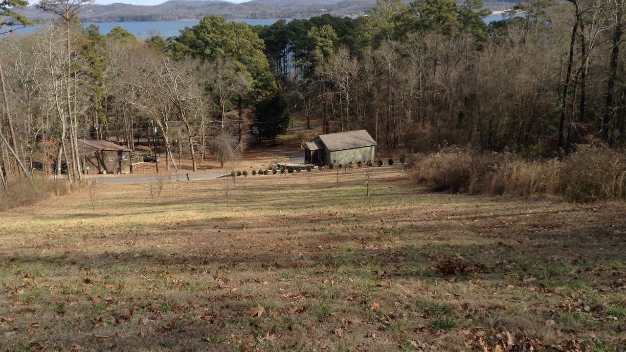 Photo of Outdoor in Guntersville