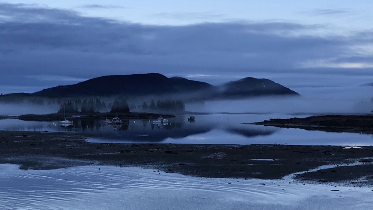 Photo of Others in Bass Harbor