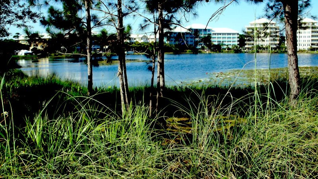 Photo of Outdoor in Sunnyside