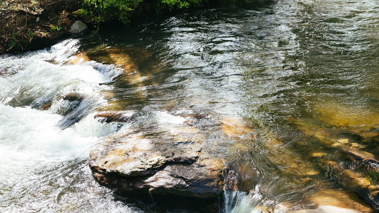 Photo of Others in Maggie Valley